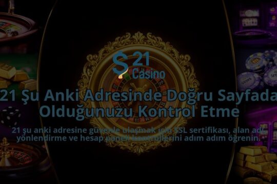 21-Su-Anki-Adresinde-Dogru-Sayfada-Oldugunuzu-Kontrol-Etme-overlay-1786630293.jpg